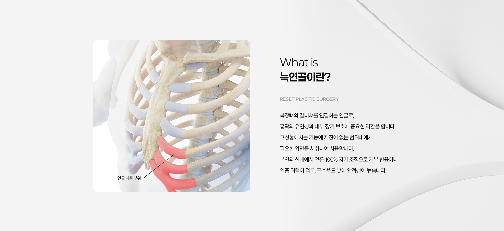 자가늑 05