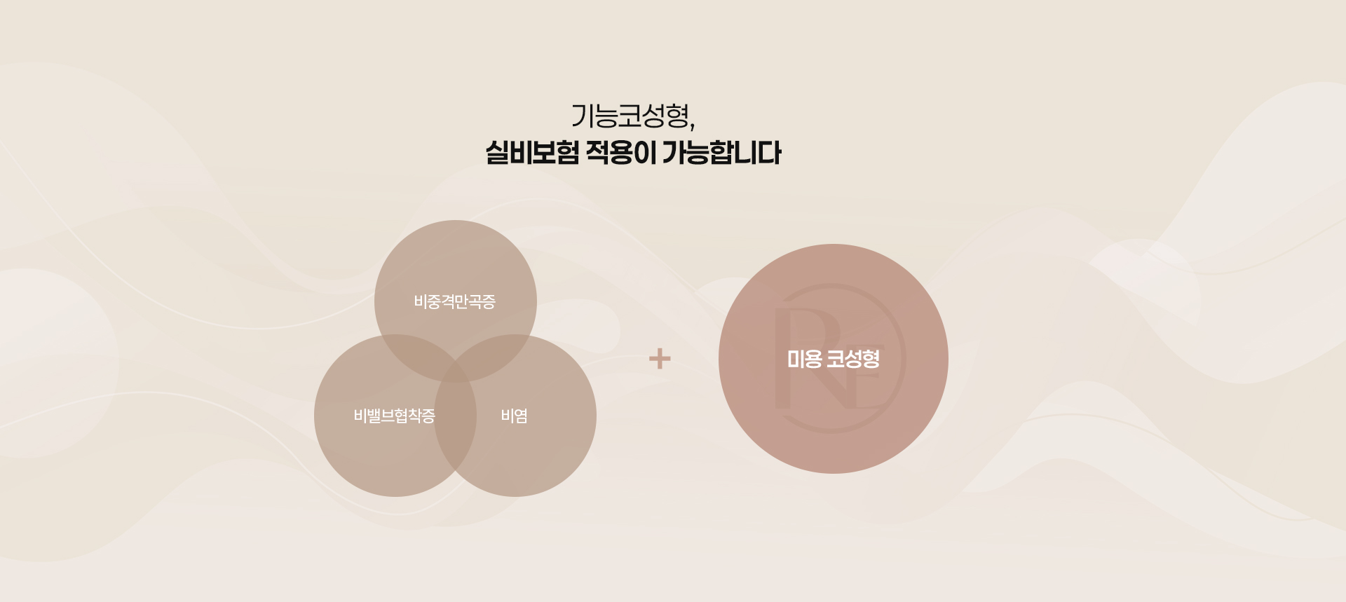 기능코성형 04