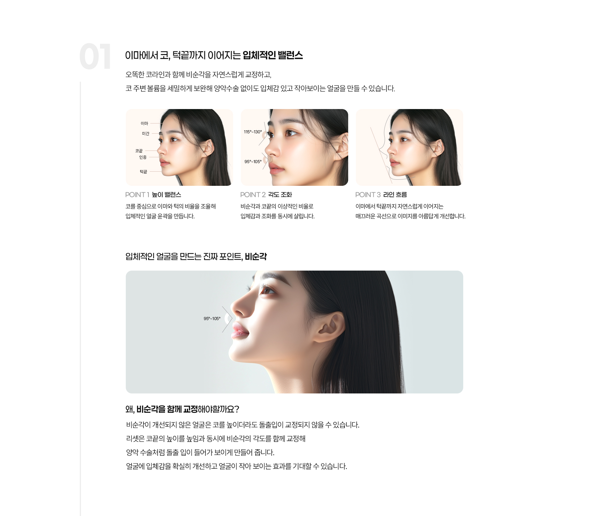입체볼륨 코성형 03